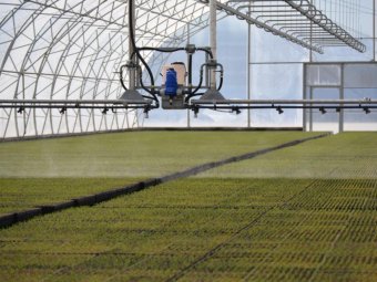 Фото ГК УЛК. Фото ГК УЛК.