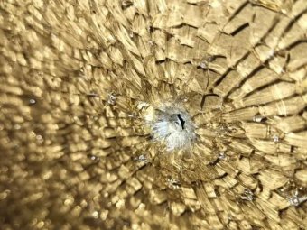 Фото ТК «Рико» Фото ТК «Рико»