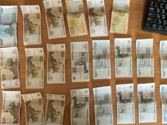 Фото: пресс-служба УМВД по Архангельской области. Фото: пресс-служба УМВД по Архангельской области.