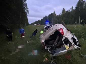 Фотографии пресс-службы УМВД Архангельской области. Фотографии пресс-службы УМВД Архангельской области.