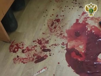 Фото пресс-службы прокуратуры Архангельской области и НАО. Фото пресс-службы прокуратуры Архангельской области и НАО.