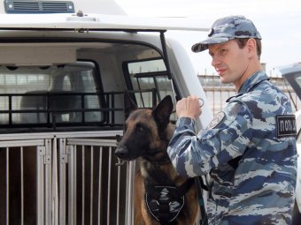 Фото: УМВД по Архангельской области. Фото: УМВД по Архангельской области.