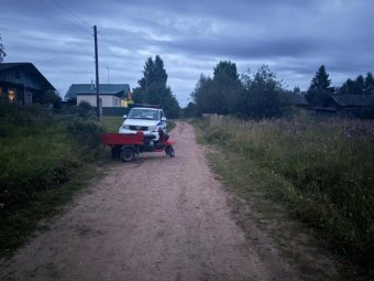 Фото УМВД. Фото УМВД.