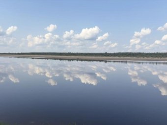 Фото следкома Фото следкома