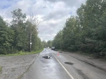 Фото: пресс-служба УМВД по Архангельской области. Фото: пресс-служба УМВД по Архангельской области.