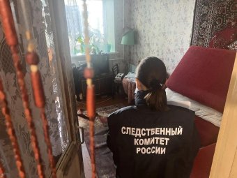 Фото регионального управления СК Фото регионального управления СК