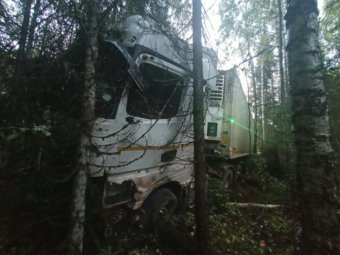 Фото УМВД Фото УМВД