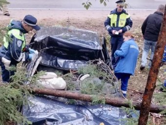 Фото: Агентство ГПС и ГЗ Архангельской области
Фото: Агентство ГПС и ГЗ Архангельской области