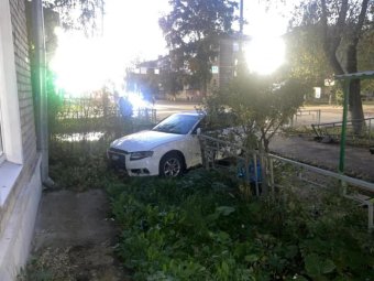 Фото: УМВД по Архангельской области. Фото: УМВД по Архангельской области.