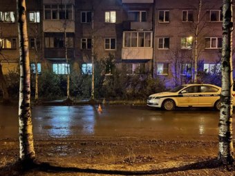 Фото УМВД Фото УМВД