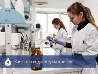 Фото «РВК-Архангельск». Фото «РВК-Архангельск».