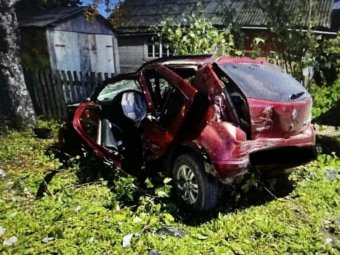Фото УМВД. Фото УМВД.