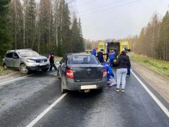 Фото Агентства ГПС и ГЗ Архангельской области. Фото Агентства ГПС и ГЗ Архангельской области.