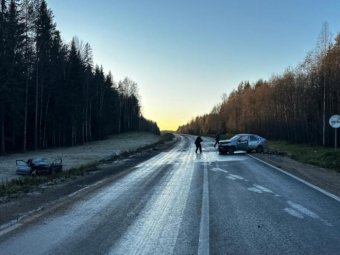 Фото УМВД Фото УМВД