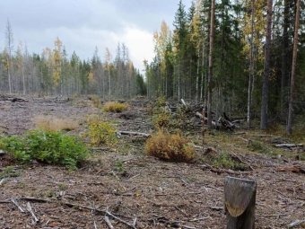Фото прокуратуры Архангельской области и НАО. Фото прокуратуры Архангельской области и НАО.