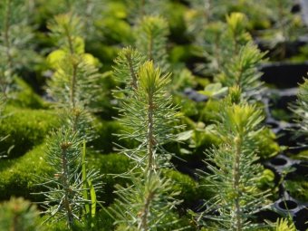 Фото Группы компаний УЛК.