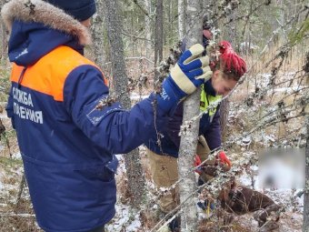 Фото: пресс-служба Архангельской областной службы спасения. 