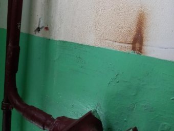 Фото: «Жесть Поморья».