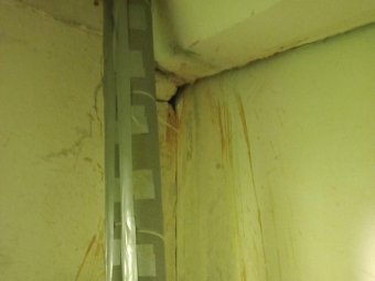 Фото: «Жесть Поморья».