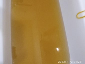 Фото: vk.com/kholmogory (Екатерина Прокшина).