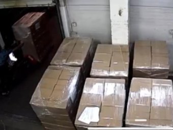 Стоп-кадр из видео пресс-службы УМВД по Московской области.