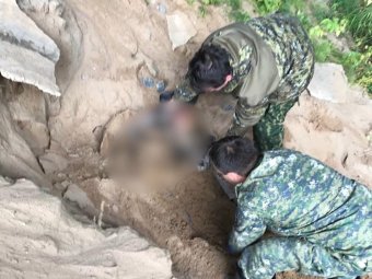 Фото: СУ СК РФ по Архангельской области и НАО.