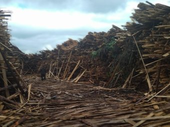 Фото: «ЭкоИнтегратор».