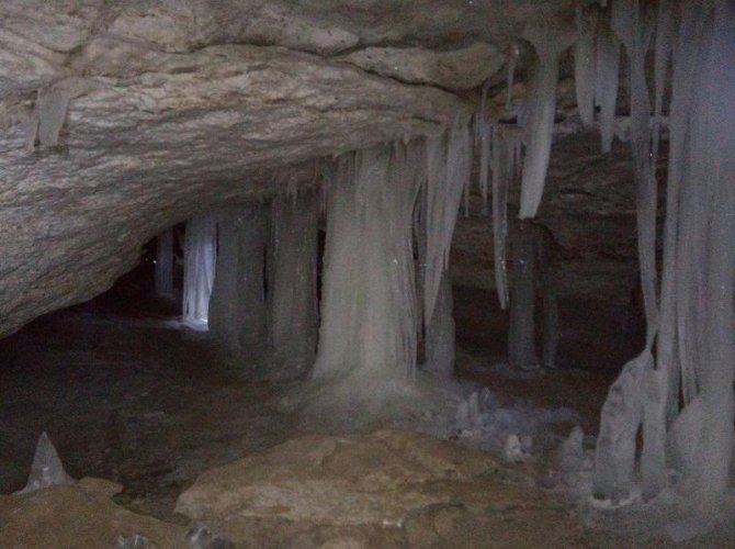 «Трибуна Эстонии»