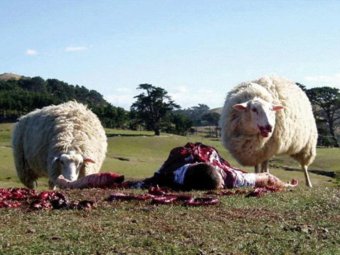 Стоп-кадр из фильма «Паршивая овца».