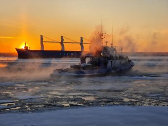 Фото: пресс-служба администрации Архангельска. 