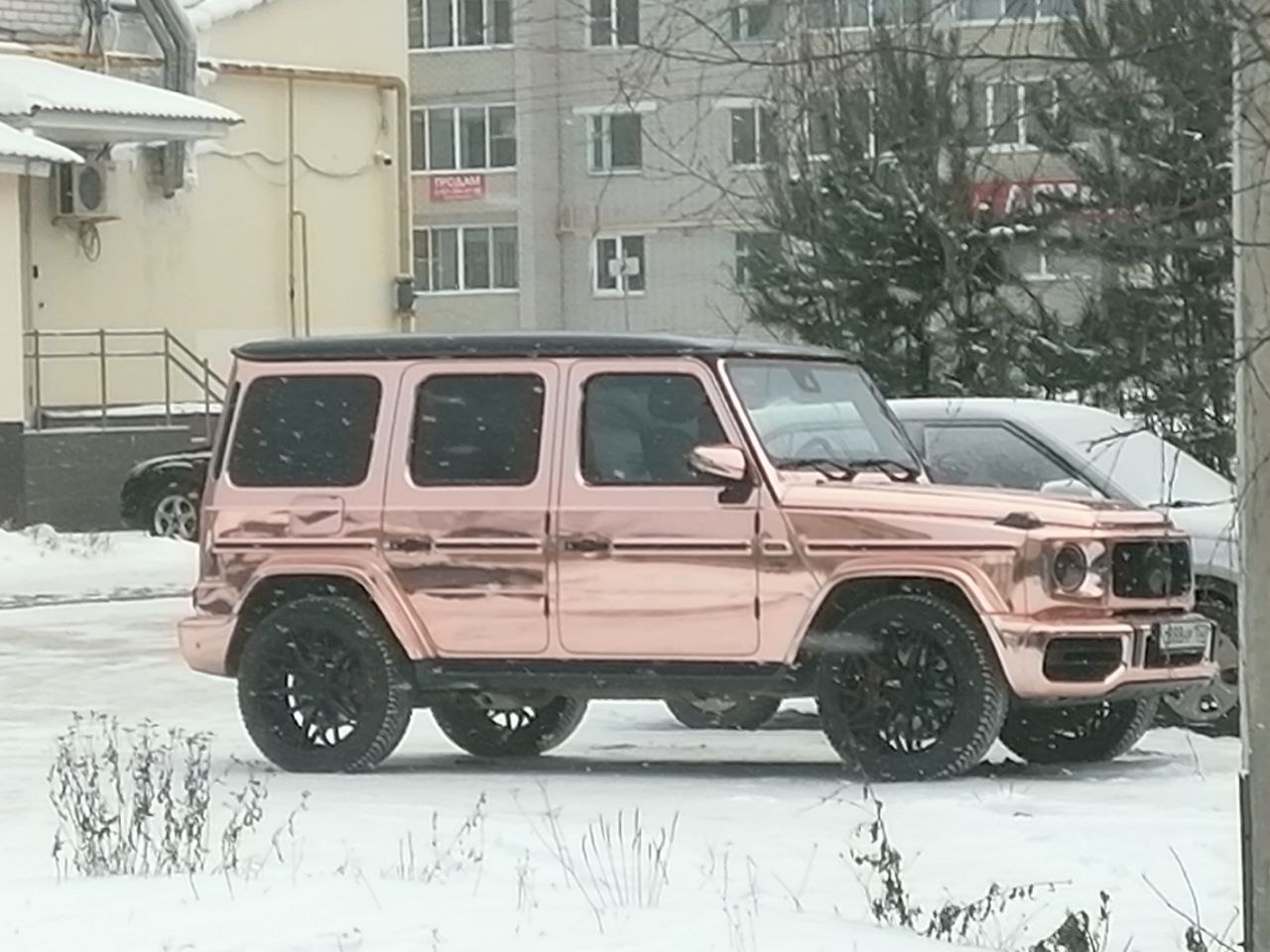 Котлас из скандального становится гламурным: мэр качается, а колбасная  королева шикует