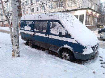 Фото пресс-службы администрации Северодвинска.