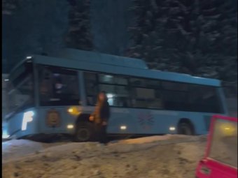 Стоп-кадр из видео, опубликованного в группе «Жесть Поморья»/«ВК».