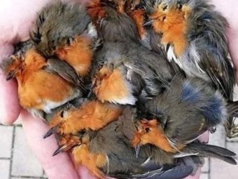 Фото Любови Бычихиной/«ВК»