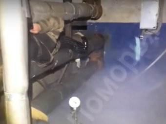 Фото: «Жесть Поморья». Архангельск. Воскресенская, 118.