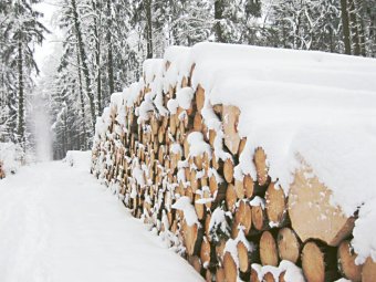 Фото Группы компаний УЛК.