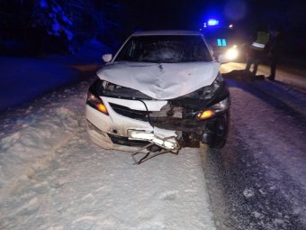 Фото: УМВД по Архангельской области. 