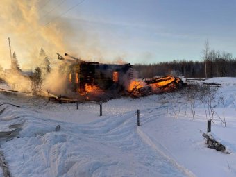 Фото: СУ СК.