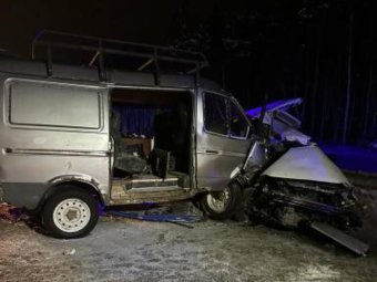 Фото: пресс-служба УМВД по Архангельской области. 