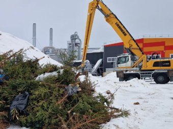 Фото: компания «Регион-Лес». 
