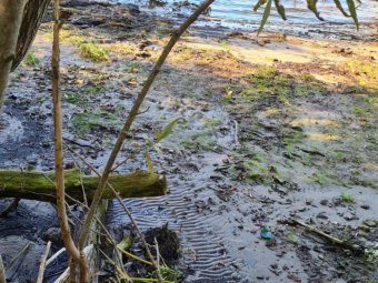 Фото: пресс-служба региональной прокуратуры. 