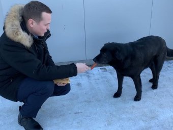 Стоп-кадр из видео со страницы Александра Чечулина «ВК».