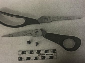 Фото: СУ СК.