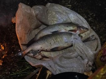 Фото: «Север-Пресс».