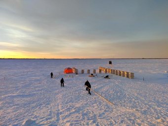 Фото из сообщества «ВК»/«Открытый Архангельск».