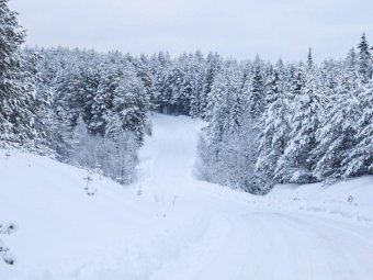 Фото Группы компаний УЛК.
