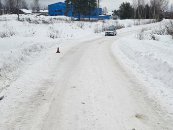 Все фото: пресс-служба регионального УМВД. 