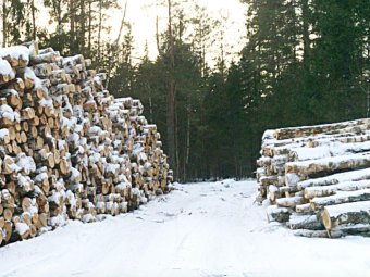 Фото Группы компаний УЛК.