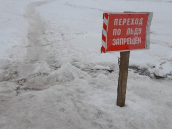 Фото: пресс-служба администрации Архангельска. 