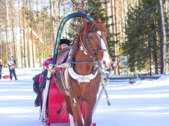 Фото: «Малые Корелы».